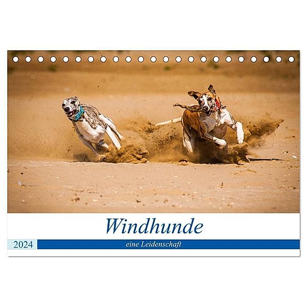 Windhunde - eine Leidenschaft (Tischkalender 2024 DIN A5 quer), CALVENDO Monatskalender, Ula Redl