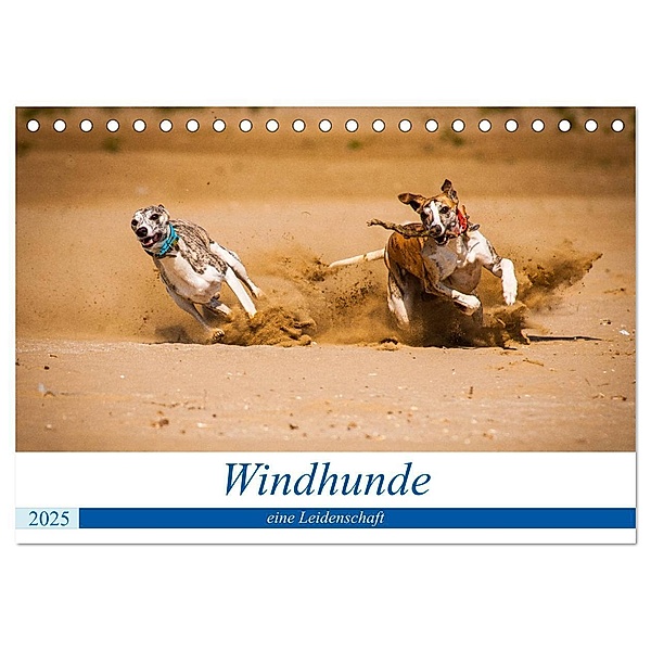 Windhunde - eine Leidenschaft (Tischkalender 2025 DIN A5 quer), CALVENDO Monatskalender, Calvendo, Ula Redl