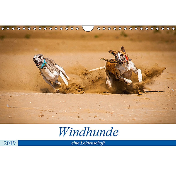 Windhunde - eine Leidenschaft (Wandkalender 2019 DIN A4 quer), Ula Redl