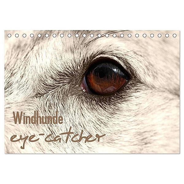 Windhunde eye-catcher (Tischkalender 2024 DIN A5 quer), CALVENDO Monatskalender, Andrea Redecker