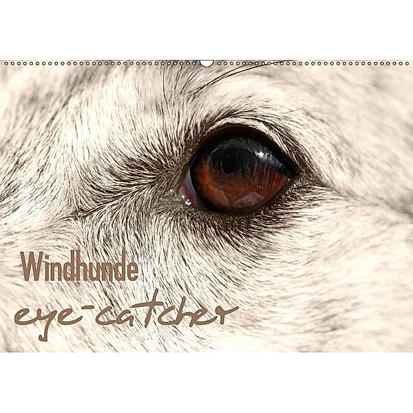 Windhunde eye-catcher (Wandkalender 2017 DIN A2 quer), Andrea Redecker