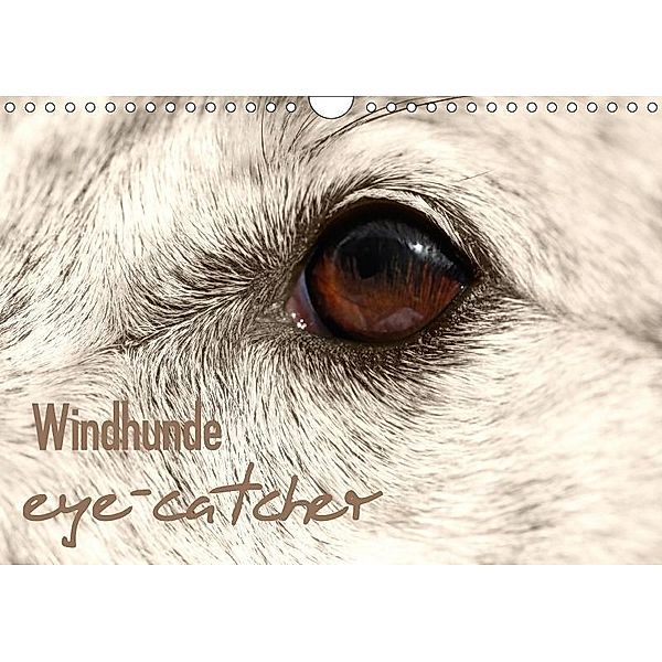 Windhunde eye-catcher (Wandkalender 2017 DIN A4 quer), 4pfoten-design