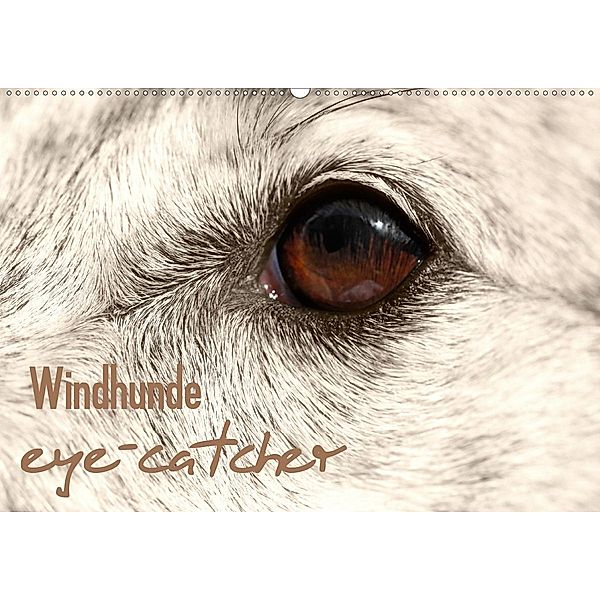 Windhunde eye-catcher (Wandkalender 2020 DIN A2 quer), Andrea Redecker, 4pfoten-design