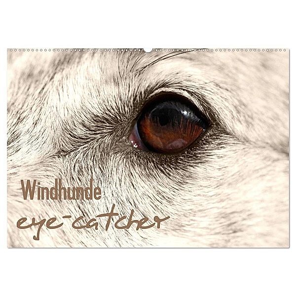 Windhunde eye-catcher (Wandkalender 2024 DIN A2 quer), CALVENDO Monatskalender, Andrea Redecker