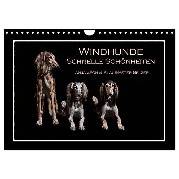Windhunde - Schnelle Schönheiten (Wandkalender 2024 DIN A4 quer), CALVENDO Monatskalender, Tanja Zech & Klaus-Peter Selzer