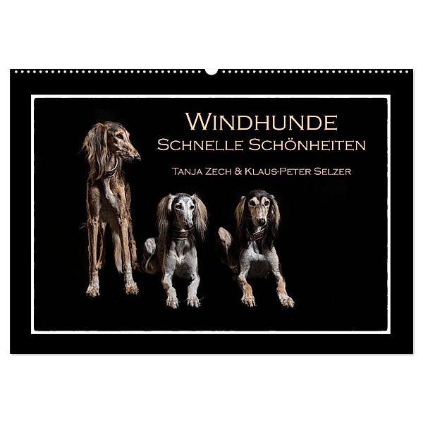 Windhunde - Schnelle Schönheiten (Wandkalender 2025 DIN A2 quer), CALVENDO Monatskalender, Calvendo, Tanja Zech & Klaus-Peter Selzer