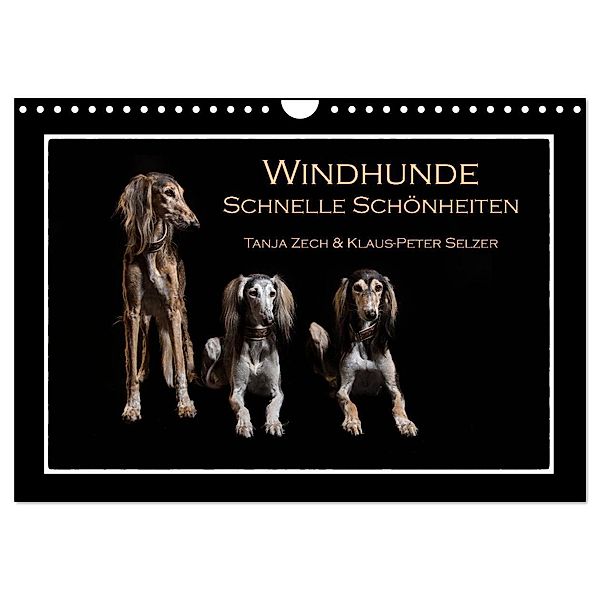 Windhunde - Schnelle Schönheiten (Wandkalender 2025 DIN A4 quer), CALVENDO Monatskalender, Calvendo, Tanja Zech & Klaus-Peter Selzer