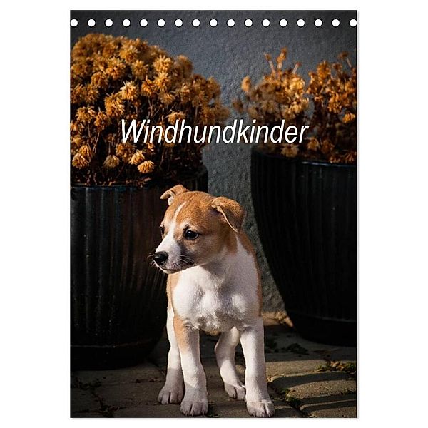 Windhundkinder (Tischkalender 2025 DIN A5 hoch), CALVENDO Monatskalender, Calvendo, Ula Redl