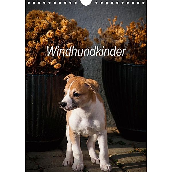 Windhundkinder (Wandkalender 2020 DIN A4 hoch), Ula Redl