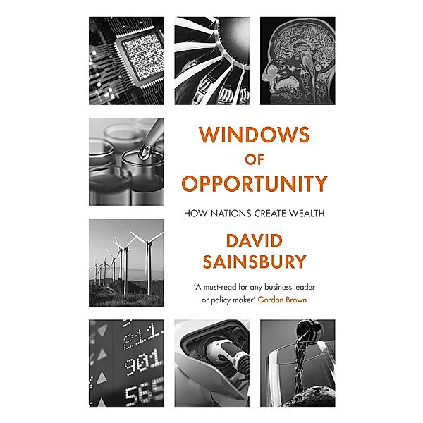 Windows of Opportunity, David Sainsbury