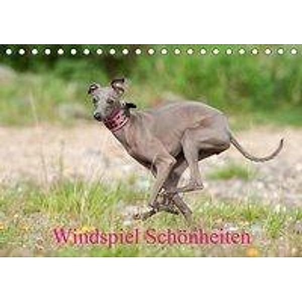 Windspiel Schönheiten (Tischkalender 2020 DIN A5 quer), Angelika Joswig