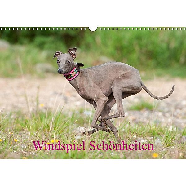 Windspiel Schönheiten (Wandkalender 2023 DIN A3 quer), Angelika Joswig