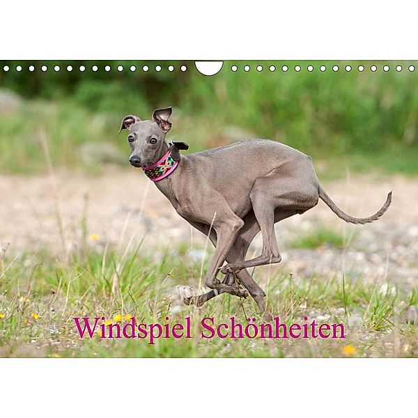 Windspiel Schönheiten (Wandkalender 2023 DIN A4 quer), Angelika Joswig