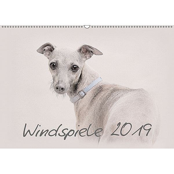 Windspiele 2019 (Wandkalender 2019 DIN A2 quer), Andrea Redecker