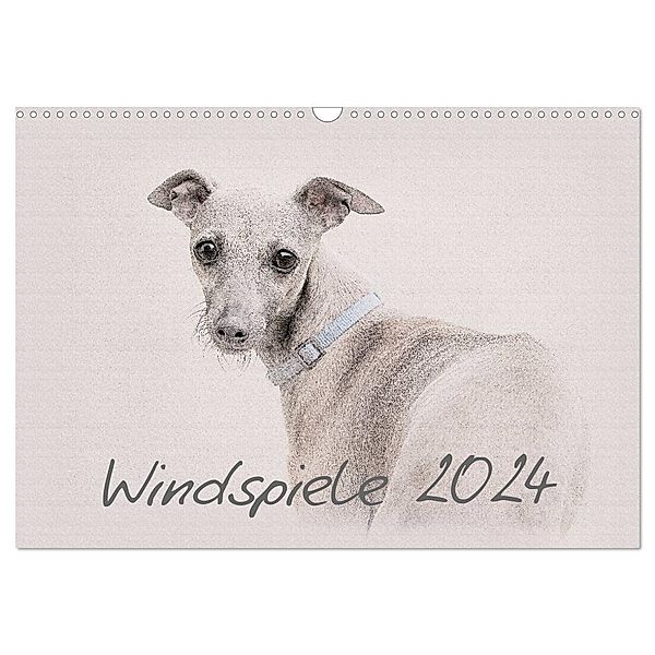 Windspiele 2024 (Wandkalender 2024 DIN A3 quer), CALVENDO Monatskalender, Andrea Redecker