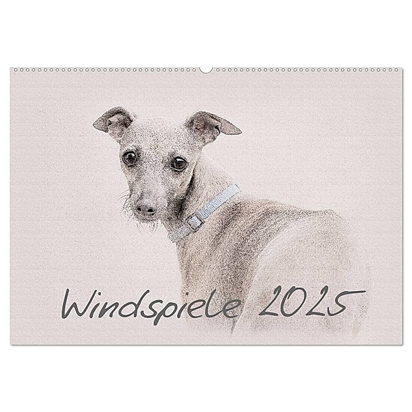 Windspiele 2025 (Wandkalender 2025 DIN A2 quer), CALVENDO Monatskalender, Calvendo, Andrea Redecker