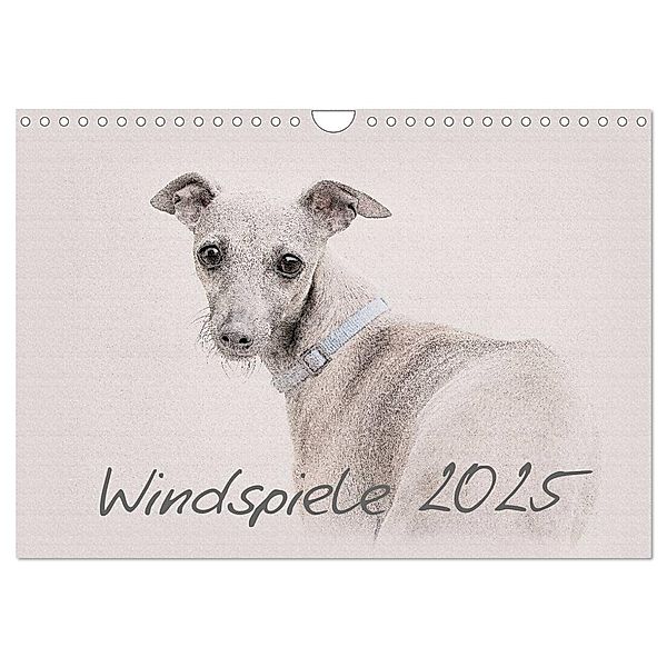 Windspiele 2025 (Wandkalender 2025 DIN A4 quer), CALVENDO Monatskalender, Calvendo, Andrea Redecker