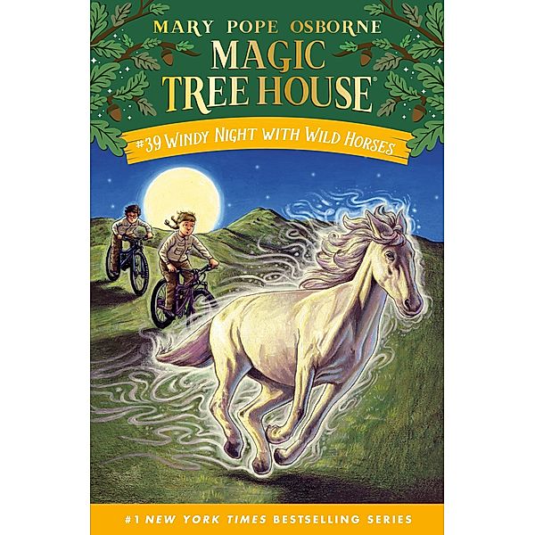 Windy Night with Wild Horses / Magic Tree House (R) Bd.39, Mary Pope Osborne