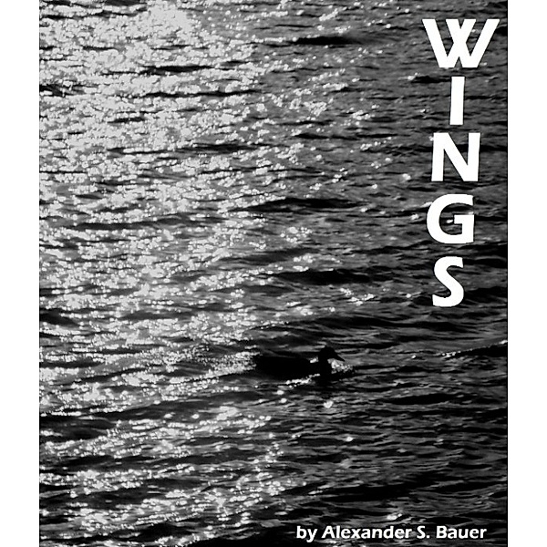 Wings, Alexander S. Bauer