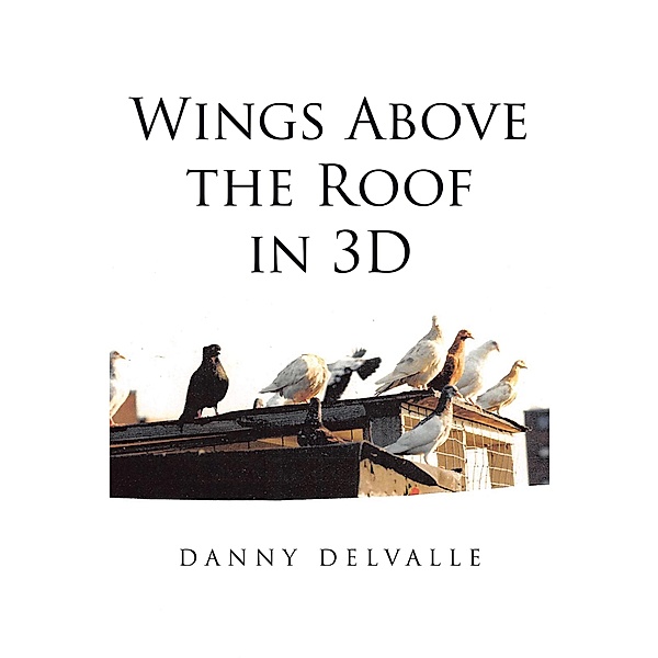 Wings Above the Roof in 3D, Danny Delvalle