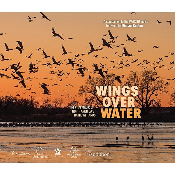 Wings Over Water, Wings For Wetlands Llc