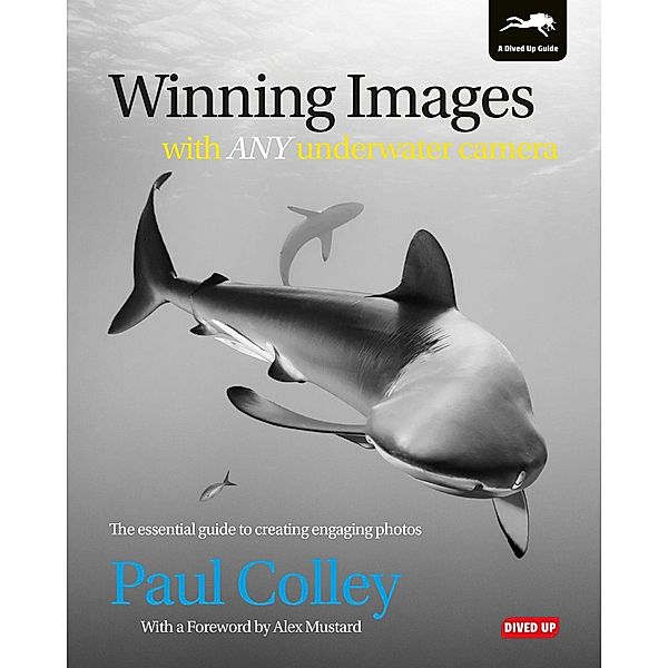 Winning Images with Any Underwater Camera, Paul Colley