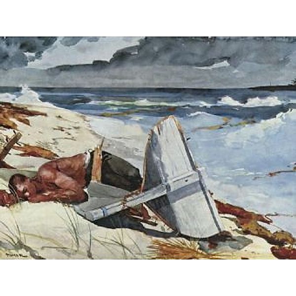 Winslow Homer - Nach dem Tornado - 1.000 Teile (Puzzle)