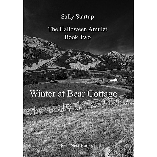 Winter at Bear Cottage (The Halloween Amulet, #2) / The Halloween Amulet, Sally Startup