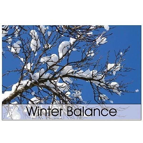 Winter Balance (Poster Book DIN A4 Landscape), cosmin codrut cicu, Cosmin, Codrut Cicu