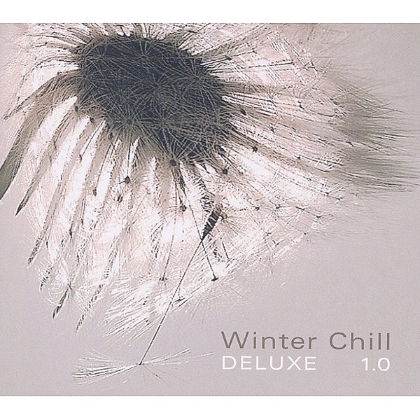 Winter Chill Deluxe 1.0, Diverse Interpreten