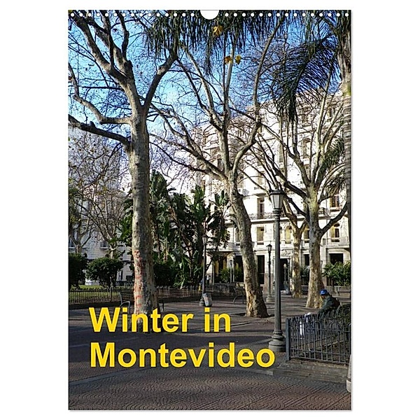 Winter in Montevideo (Wandkalender 2024 DIN A3 hoch), CALVENDO Monatskalender, Kristin Gräfin  von Montfort