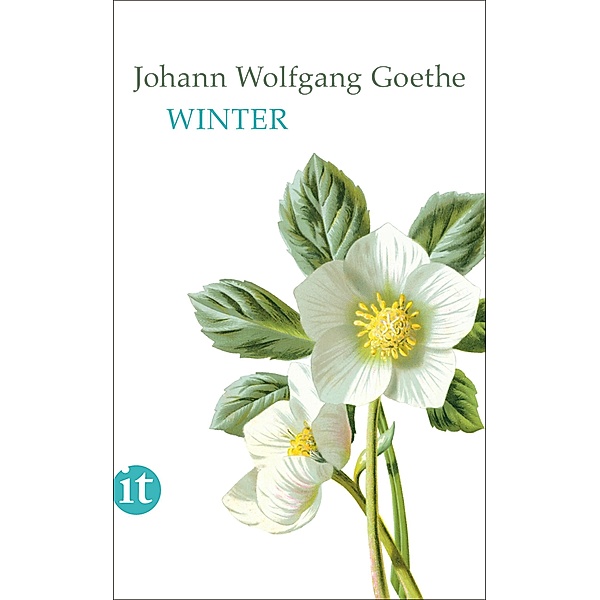 Winter / Insel-Taschenbücher Bd.4608, Johann Wolfgang Goethe