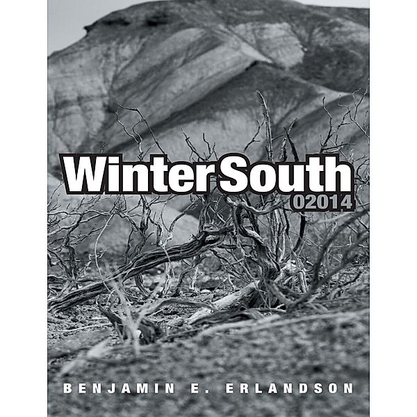Winter South 02014, Benjamin E. Erlandson