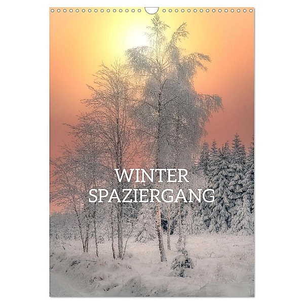 Winter Spaziergang (Wandkalender 2024 DIN A3 hoch), CALVENDO Monatskalender, Stefan Becker