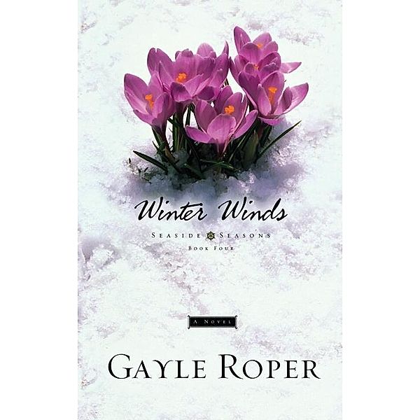 Winter Winds / Seaside Seasons Bd.4, Gayle Roper