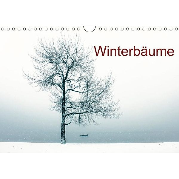 Winterbäume (Wandkalender 2017 DIN A4 quer), Joana Kruse