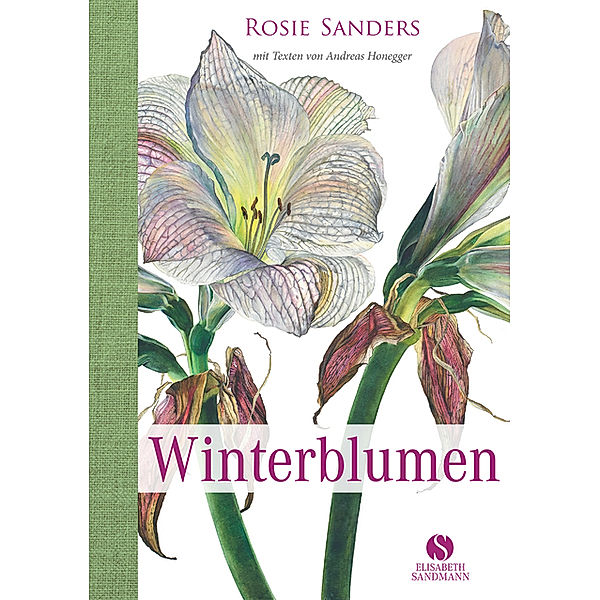 Winterblumen, Rosie Sanders