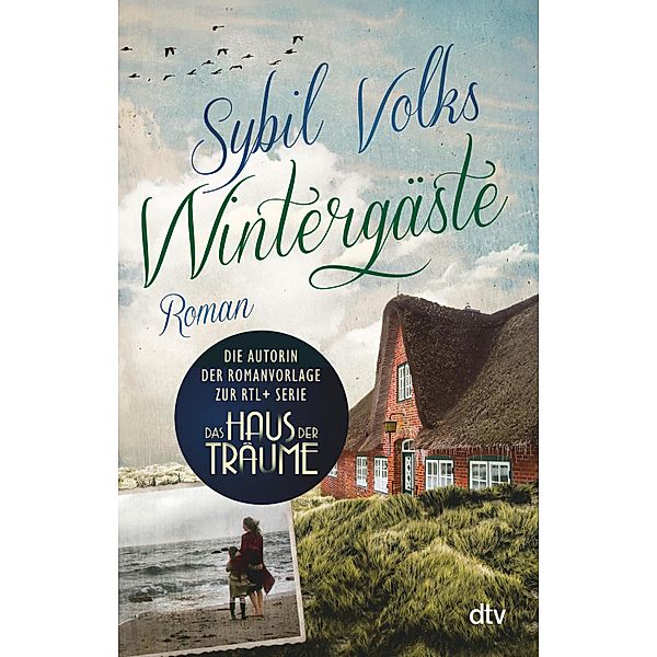 Wintergäste / Familie Boysen Bd.1, Sybil Volks