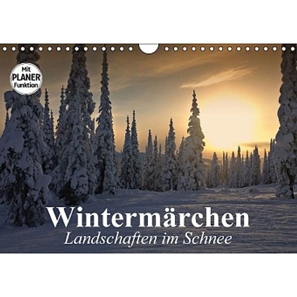 Wintermärchen. Landschaften im Schnee (Wandkalender 2016 DIN A4 quer), Elisabeth Stanzer