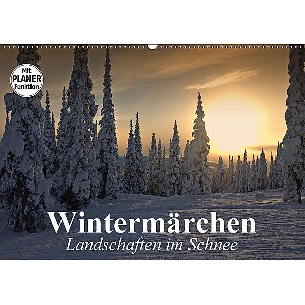 Wintermärchen. Landschaften im Schnee (Wandkalender 2017 DIN A2 quer), Elisabeth Stanzer