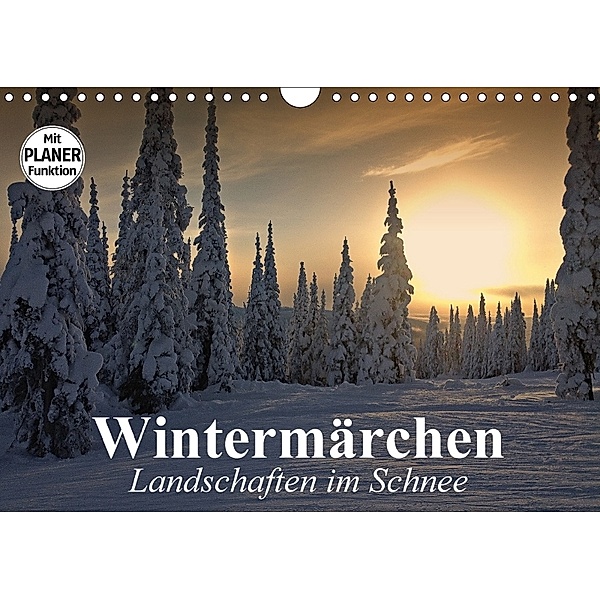 Wintermärchen. Landschaften im Schnee (Wandkalender 2018 DIN A4 quer), Elisabeth Stanzer