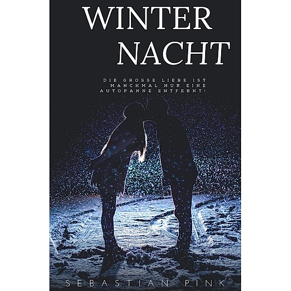 Winternacht, Sebastian Pink