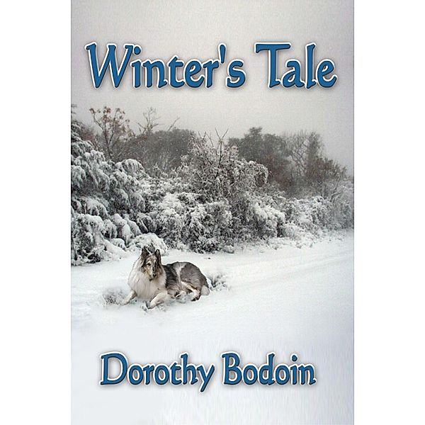 Winter's Tale (A Foxglove Corners Mystery, #3) / A Foxglove Corners Mystery, Dorothy Bodoin