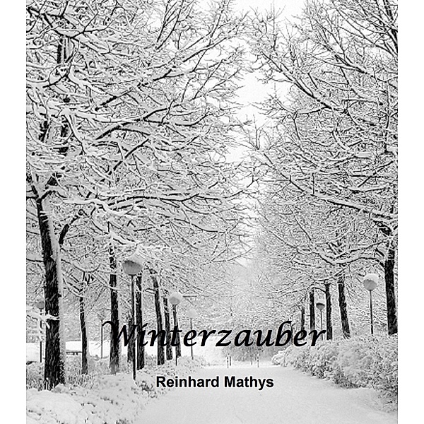 Winterzauber / Das Schloss zu den vier Jahreszeiten Bd.4, Reinhard Mathys
