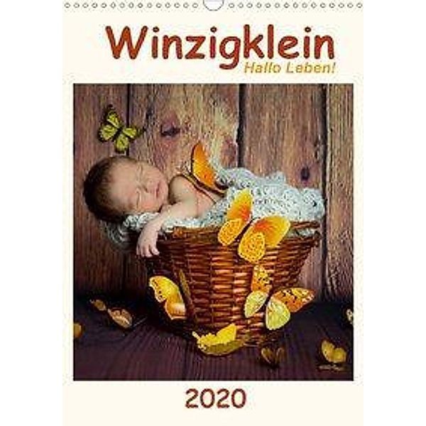 Winzigklein - Hallo Leben! (Wandkalender 2020 DIN A3 hoch), Hetizia Fotodesign