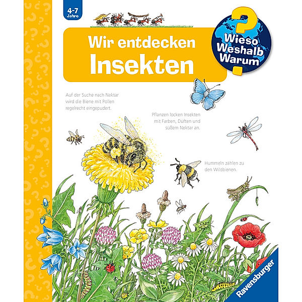 Wir entdecken Insekten / Wieso? Weshalb? Warum? Bd.39, Angela Weinhold