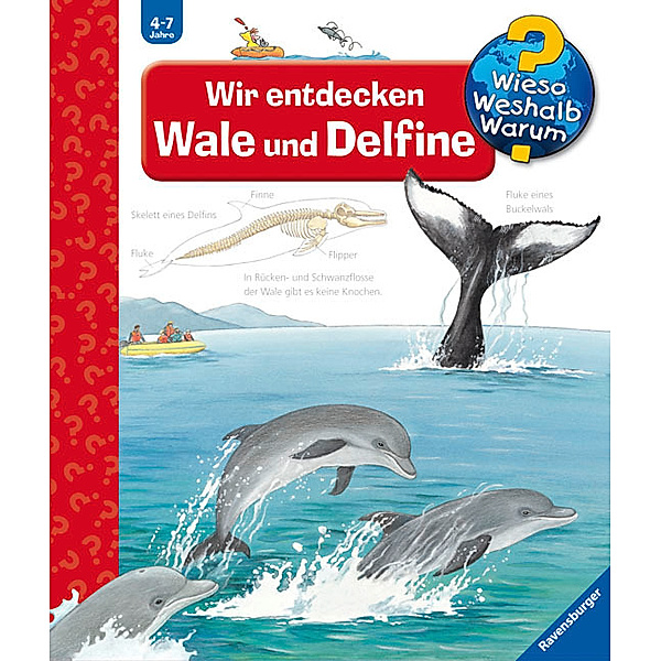 Wir entdecken Wale und Delfine / Wieso? Weshalb? Warum? Bd.41, Doris Rübel