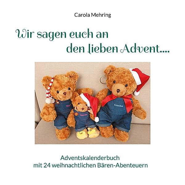 Wir sagen euch an den lieben Advent...., Carola Mehring