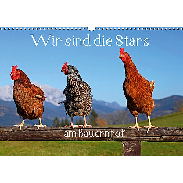 Wir sind die Stars am Bauernhof (Wandkalender 2019 DIN A3 quer), Christa Kramer