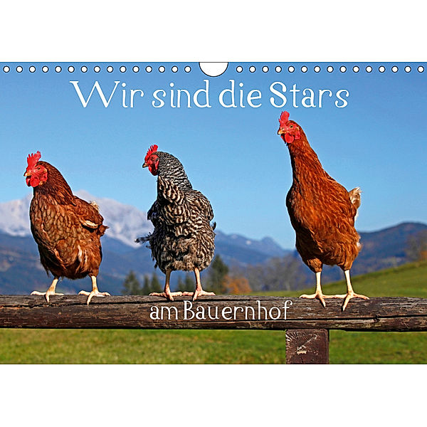 Wir sind die Stars am Bauernhof (Wandkalender 2019 DIN A4 quer), Christa Kramer